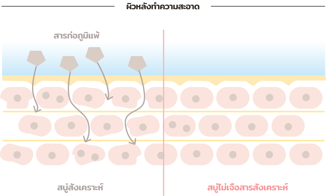 After washing skin comparison with synthetic and additive-free soap.