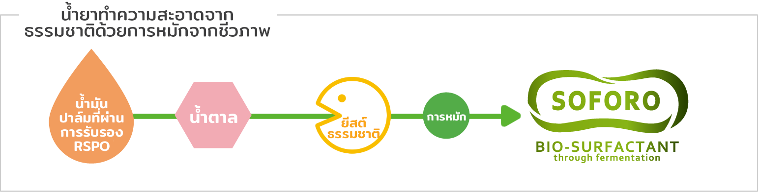 This diagram illustrates how Soforo is made. RSPO certified palm oil and sugar are consumed by natural yeast, fermenting them to produce a bio-surfactant component, soforo.