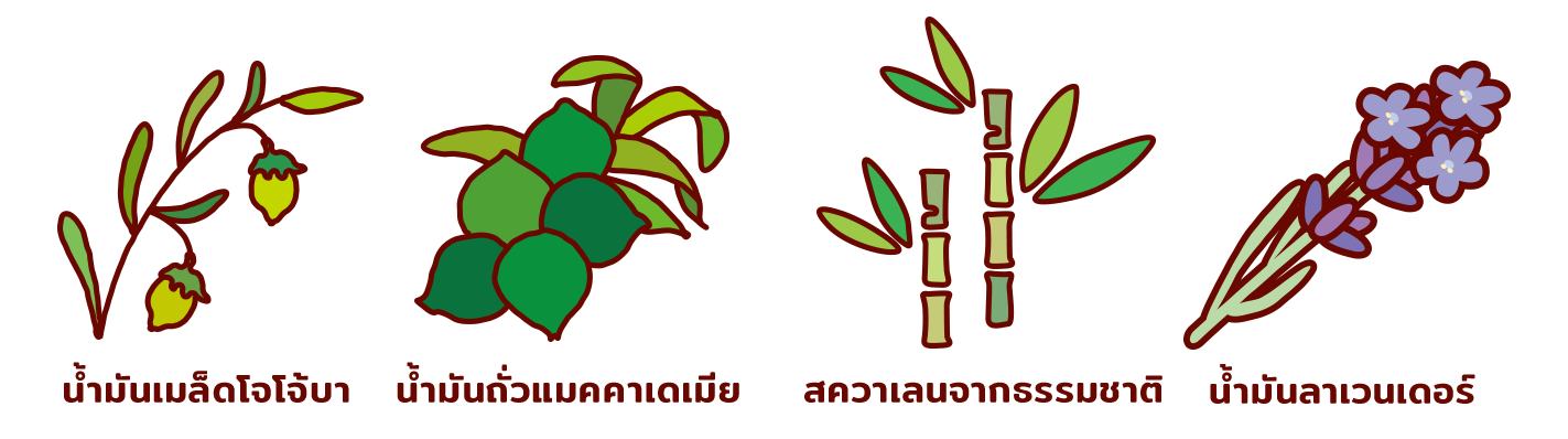 These images illustrate the botanical ingredients used in arau.baby. They are jojoba seed oil, macadamia seed oil, botanical squalane, and lavender oil.