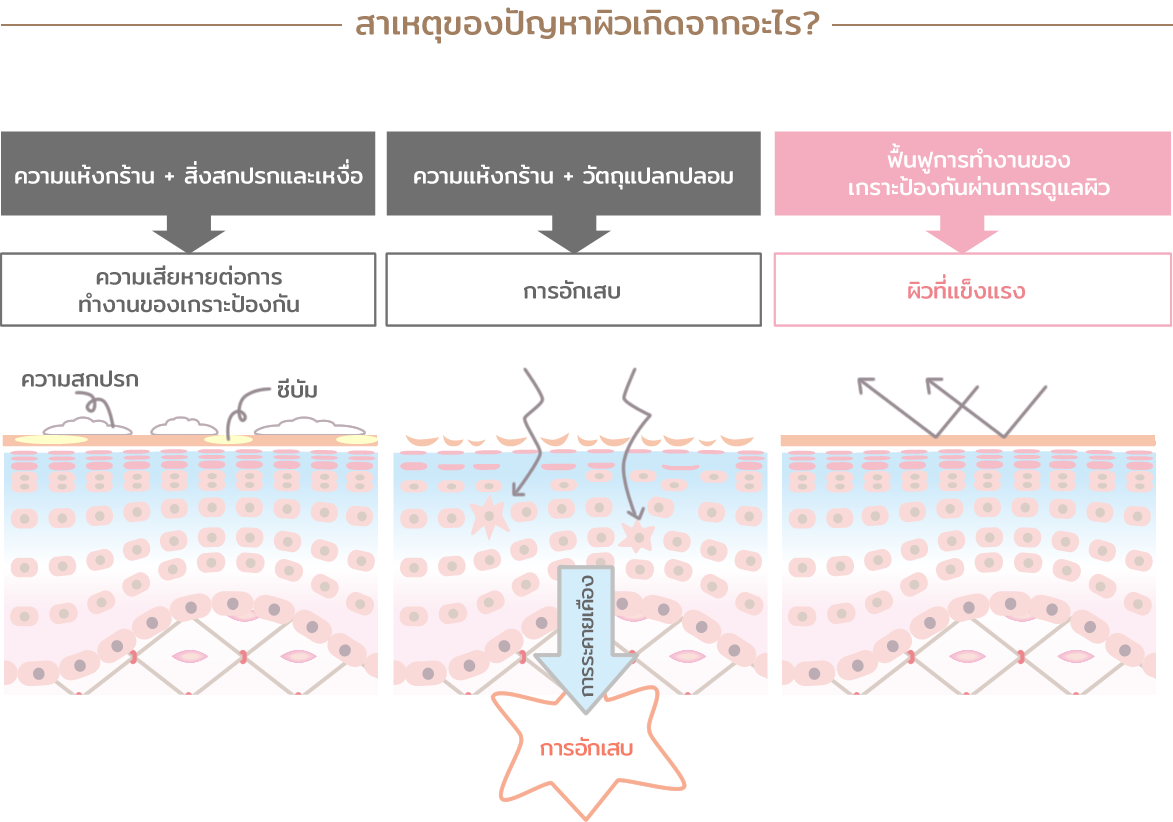 This image describes how skin irritation occurs. When the skin is cared for and the barrier function is restored, the skin becomes healthy again and protects itself from stimuli.