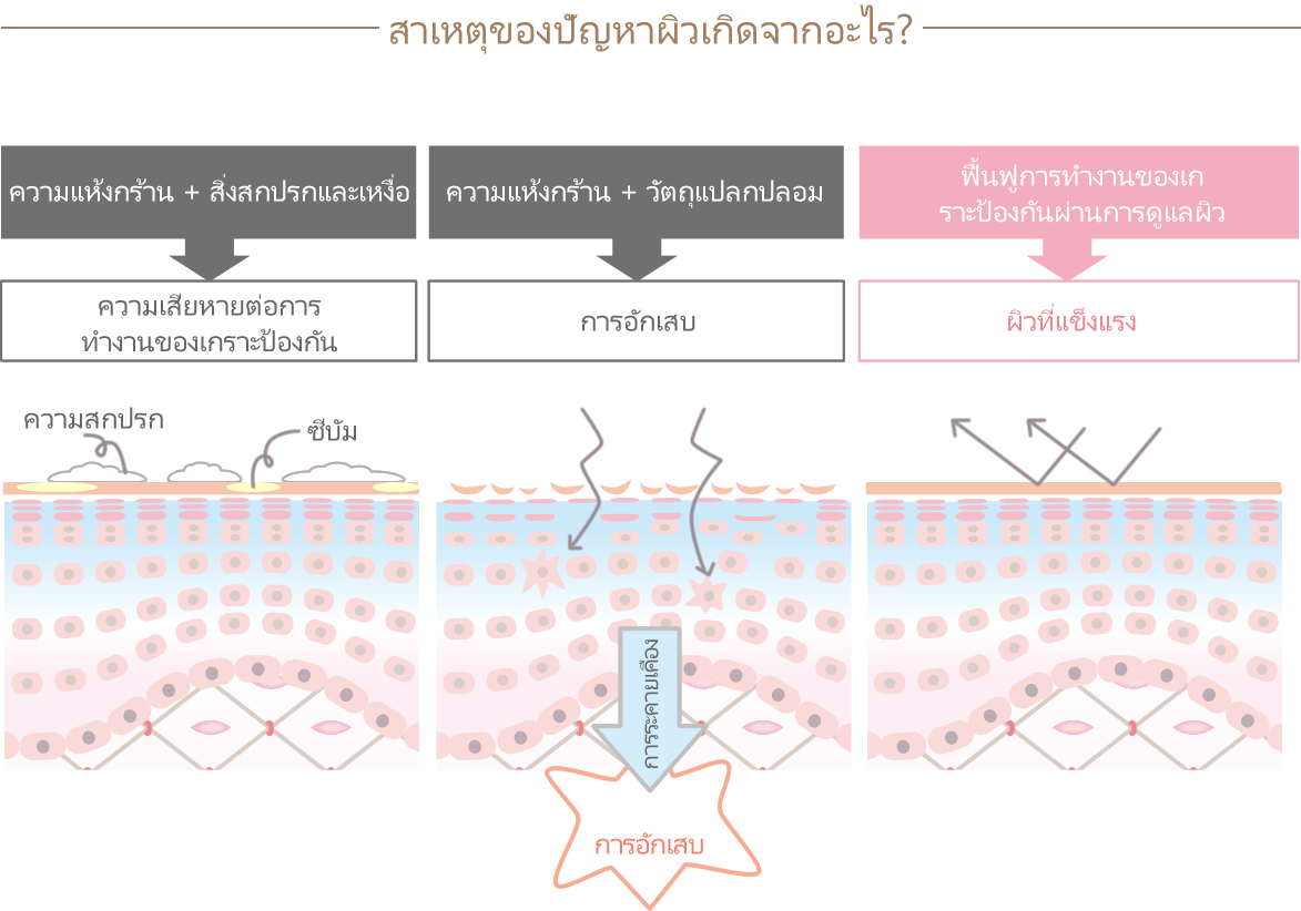 This image describes how skin irritation occurs. When the skin is cared for and the barrier function is restored, the skin becomes healthy again and protects itself from stimuli.
